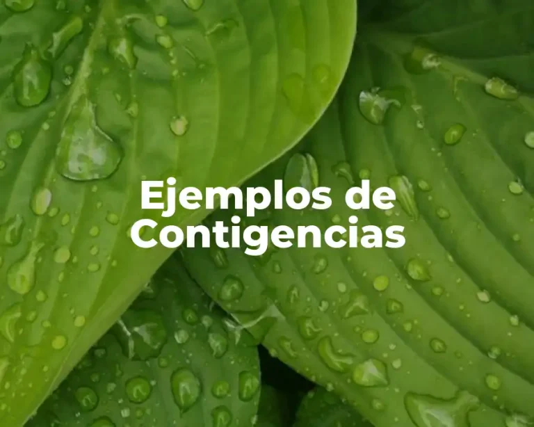 Ejemplos de Contigencias