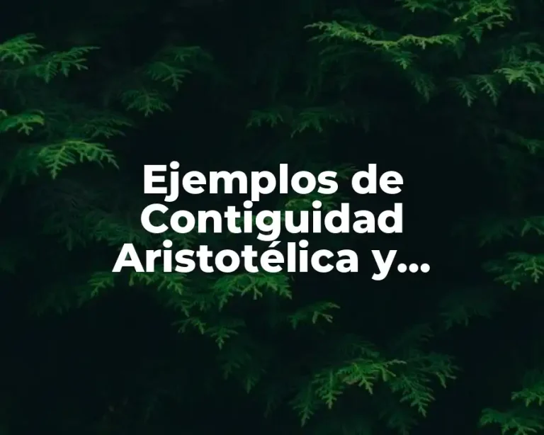 Ejemplos de Contiguidad Aristotélica y Significado