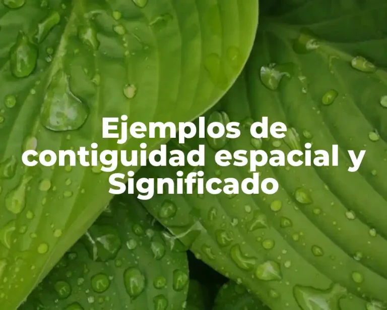 Ejemplos de contiguidad espacial y Significado