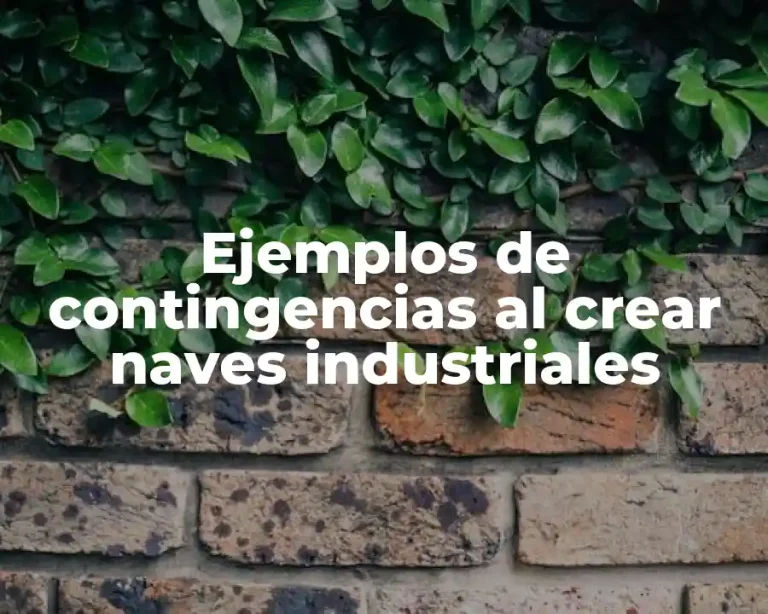 Ejemplos de contingencias al crear naves industriales