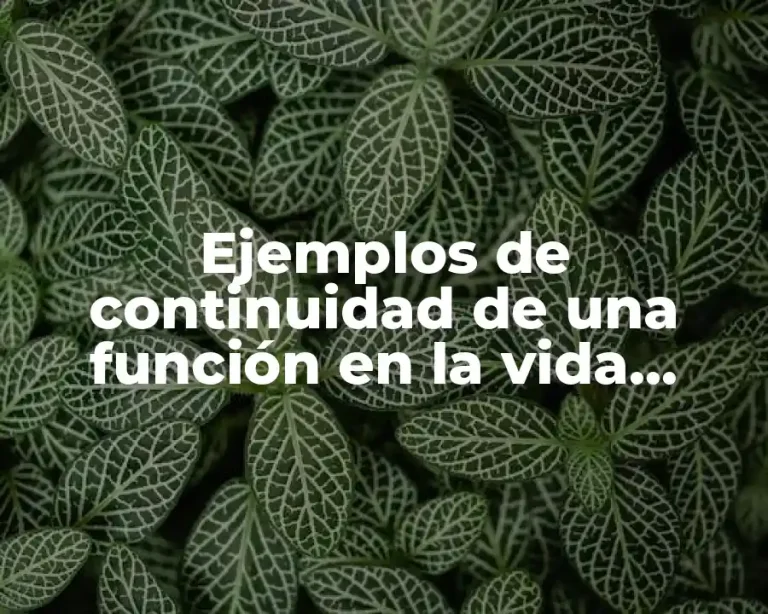 Ejemplos de continuidad de una función en la vida cotidiana