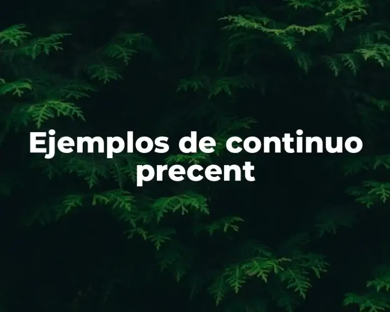 Ejemplos de continuo precent