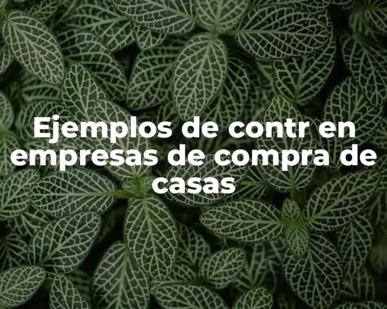 Ejemplos de contr en empresas de compra de casas