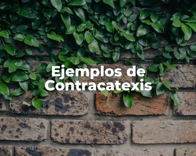 Ejemplos de Contracatexis