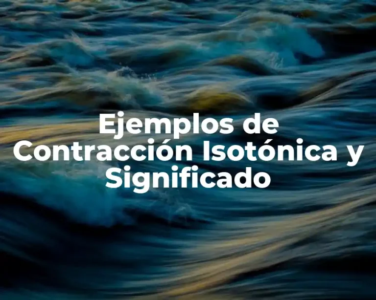 Ejemplos de Contracción Isotónica y Significado