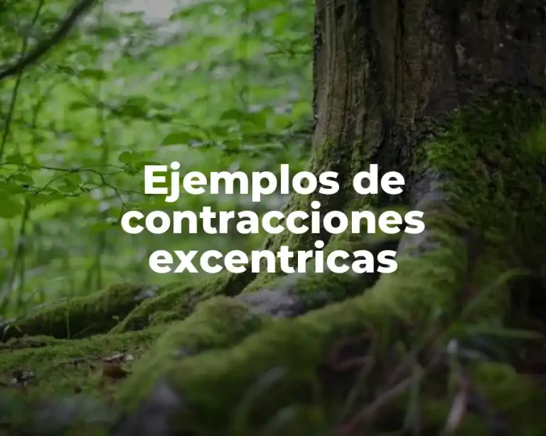 Ejemplos de contracciones excentricas
