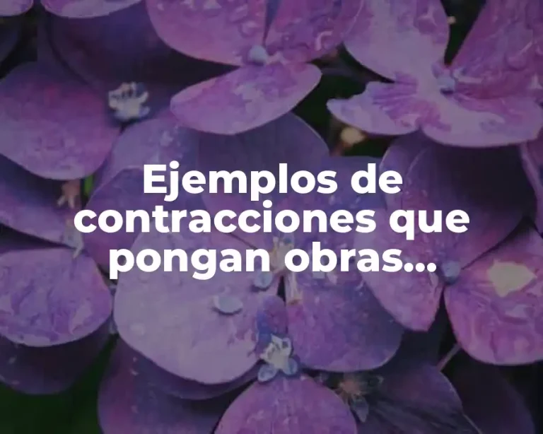 Ejemplos de contracciones que pongan obras provisionales