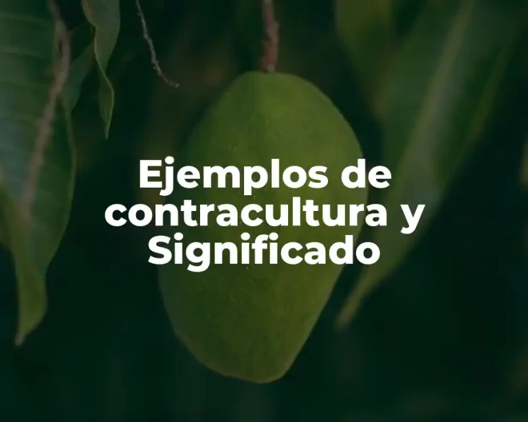 Ejemplos de contracultura y Significado