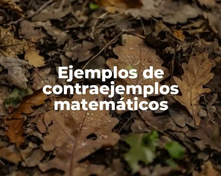 Ejemplos de contraejemplos matemáticos