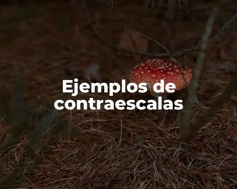 Ejemplos de contraescalas