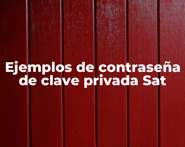 Ejemplos de contraseña de clave privada Sat