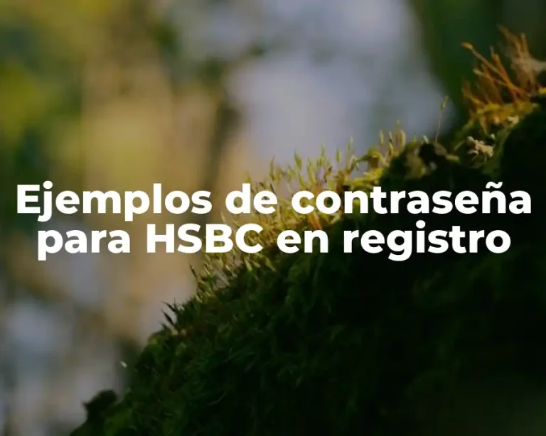 Ejemplos de contraseña para HSBC en registro