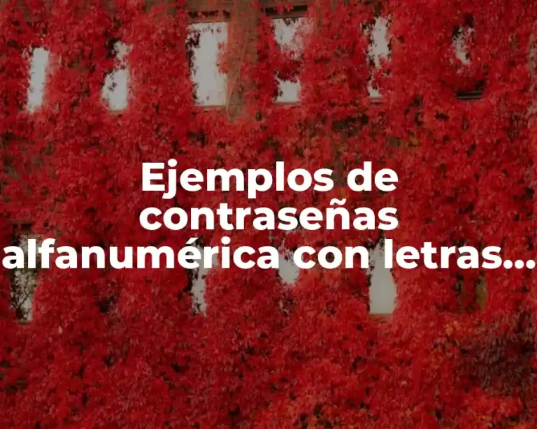 Ejemplos de contraseñas alfanumérica con letras en solo minúscula
