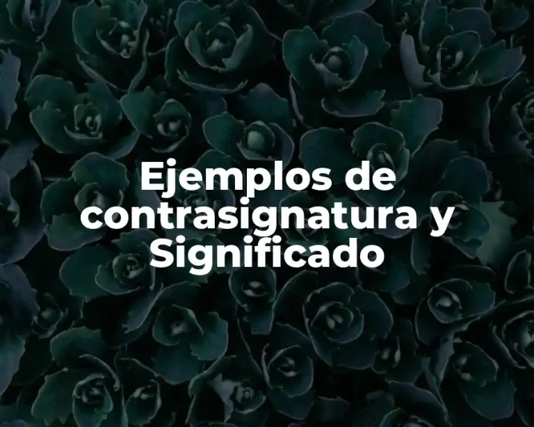 Ejemplos de contrasignatura y Significado