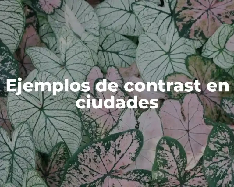 Ejemplos de contrast en ciudades