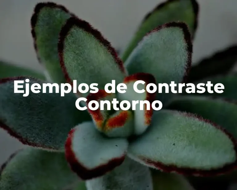 Ejemplos de Contraste Contorno