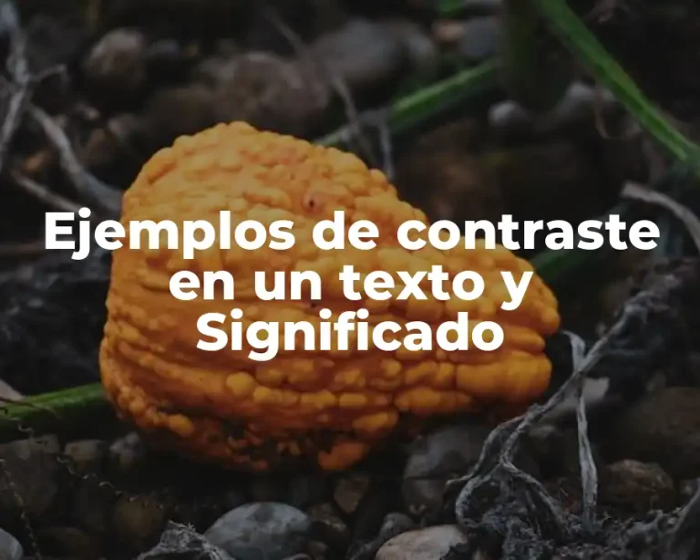 Ejemplos de contraste en un texto y Significado