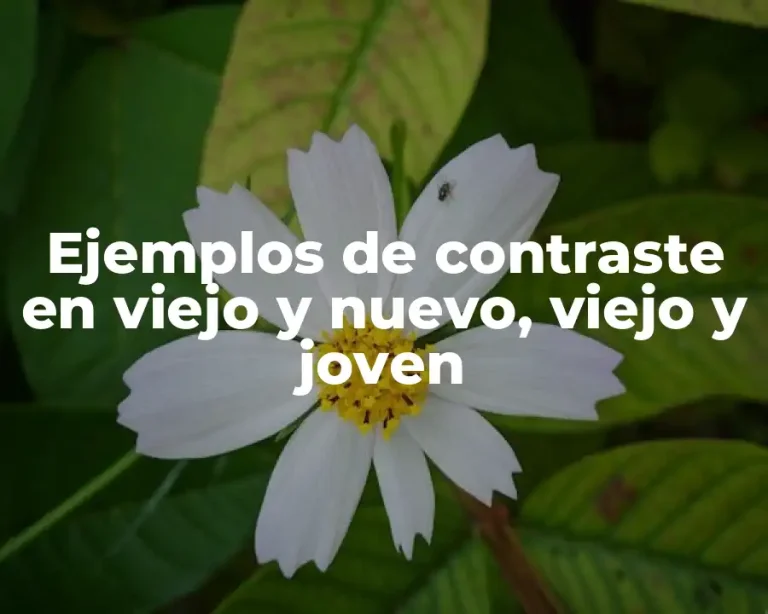Ejemplos de contraste en viejo y nuevo, viejo y joven