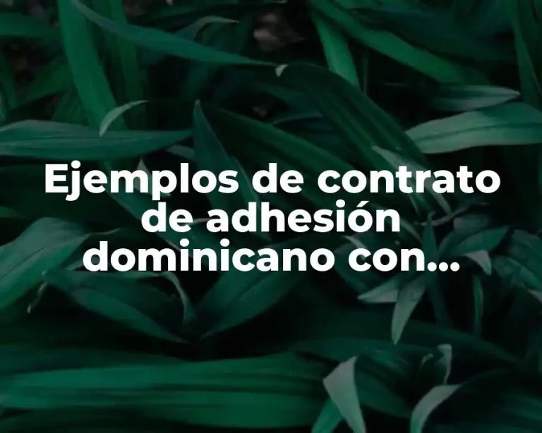 Ejemplos de contrato de adhesión dominicano con clausulas abusivas
