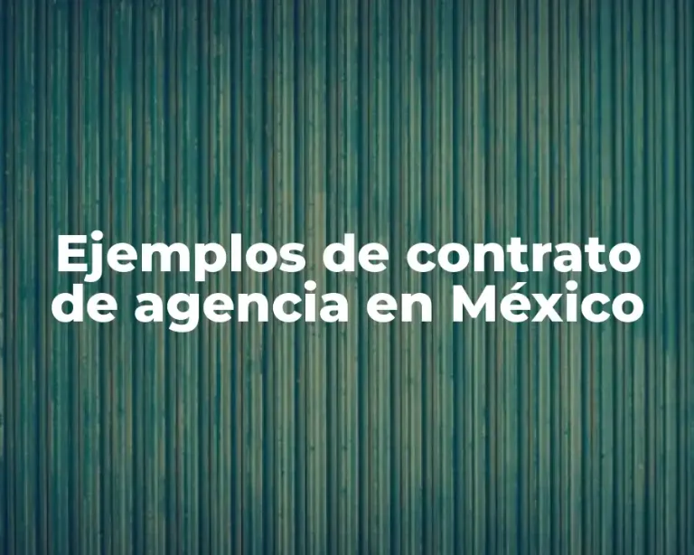 Ejemplos de contrato de agencia en México