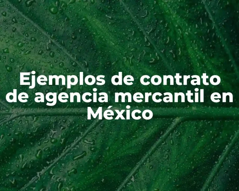 Ejemplos de contrato de agencia mercantil en México