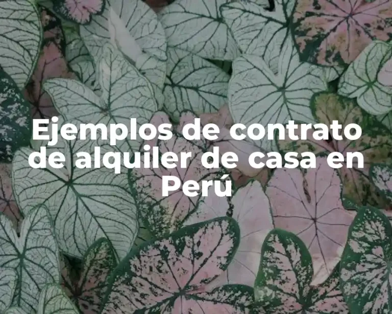 Ejemplos de contrato de alquiler de casa en Perú