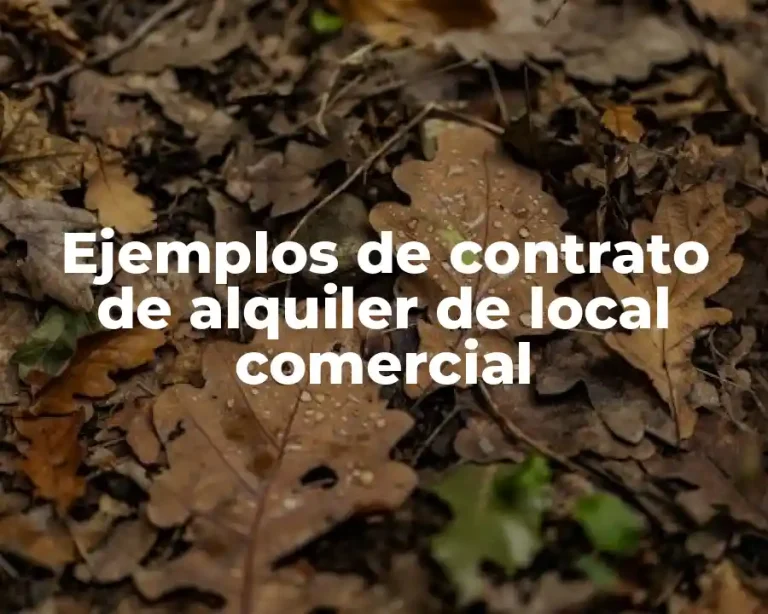 Ejemplos de contrato de alquiler de local comercial