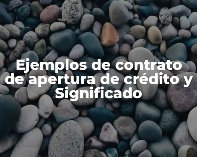 Ejemplos de contrato de apertura de crédito y Significado