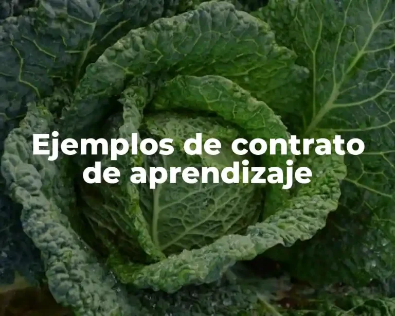 Ejemplos de contrato de aprendizaje