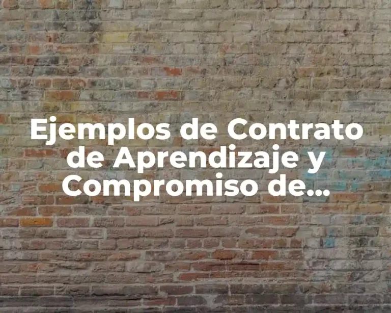 Ejemplos de Contrato de Aprendizaje y Compromiso de Instructor