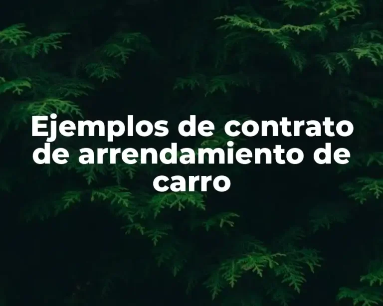 Ejemplos de contrato de arrendamiento de carro