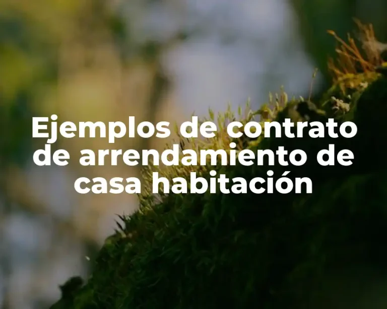 Ejemplos de contrato de arrendamiento de casa habitación