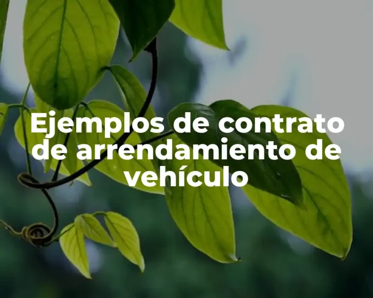 Ejemplos de contrato de arrendamiento de vehículo