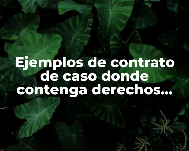 Ejemplos de contrato de caso donde contenga derechos obligaciones