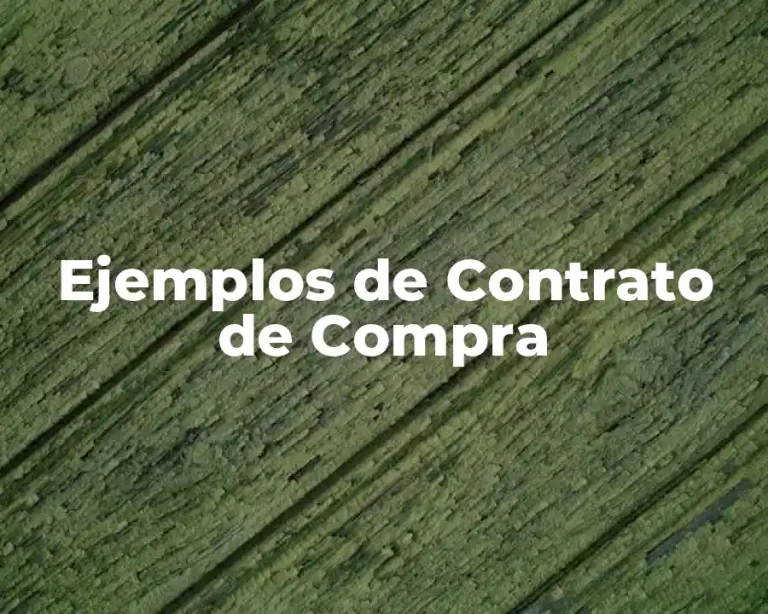 Ejemplos de Contrato de Compra