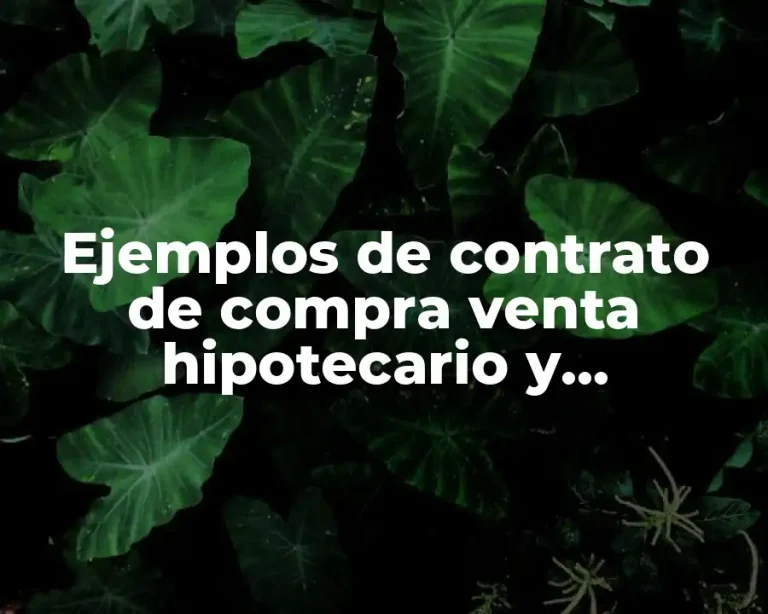 Ejemplos de contrato de compra venta hipotecario y Significado