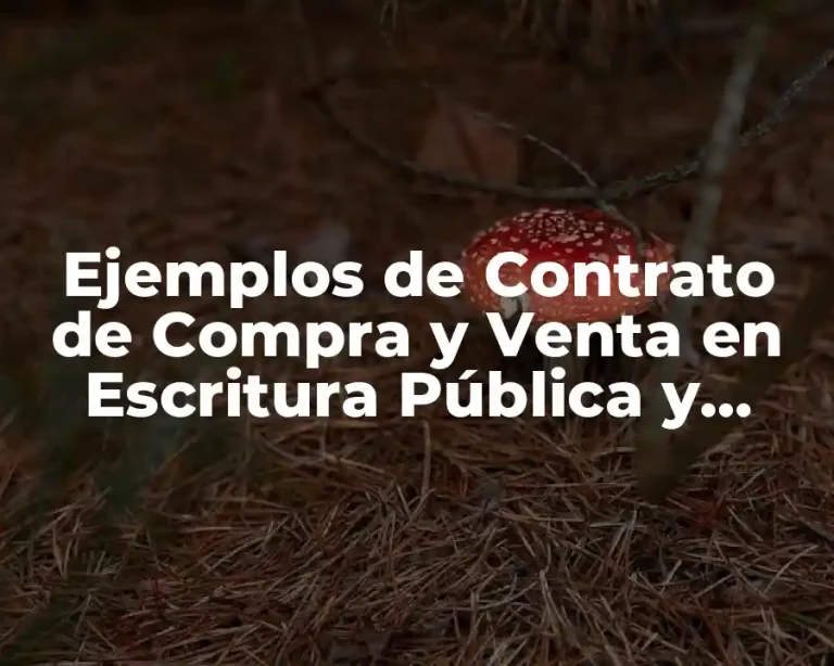 Ejemplos de Contrato de Compra y Venta en Escritura Pública y Significado