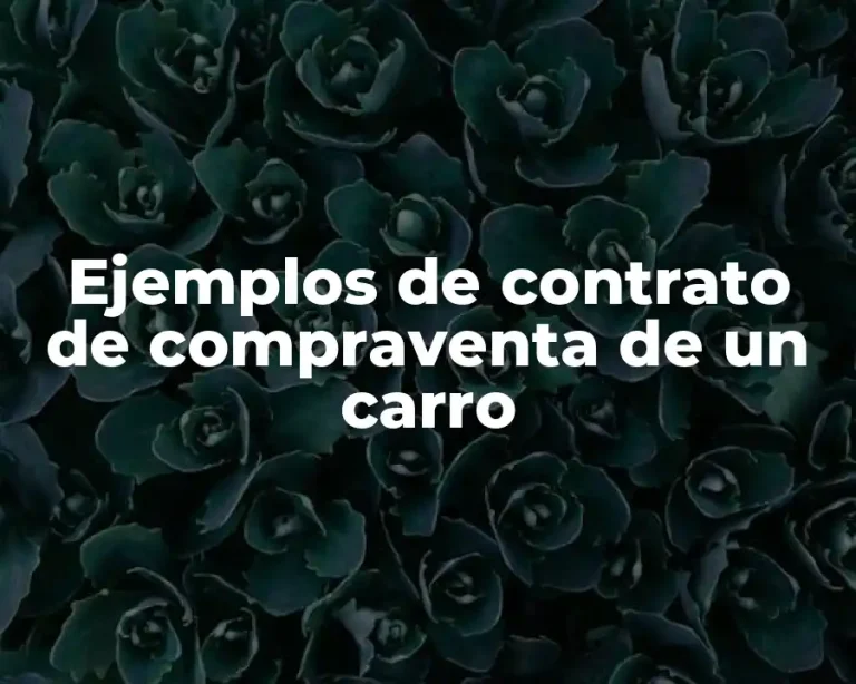Ejemplos de contrato de compraventa de un carro