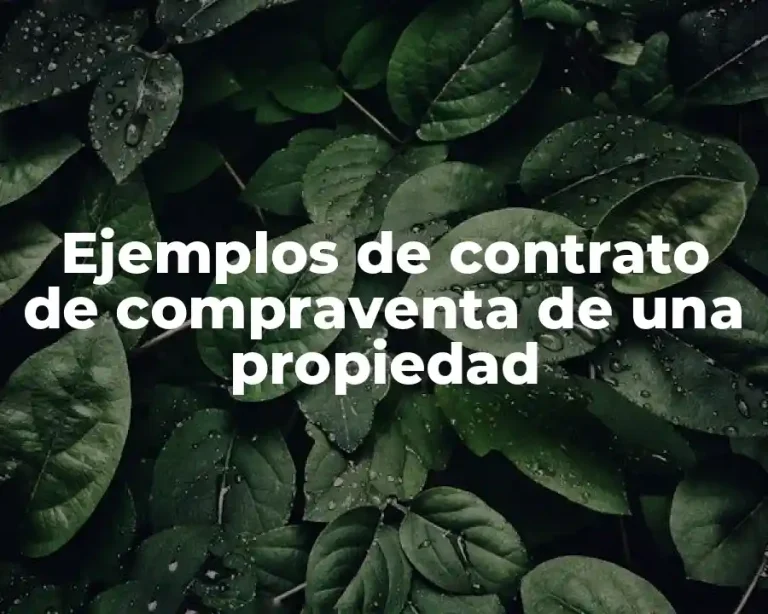Ejemplos de contrato de compraventa de una propiedad