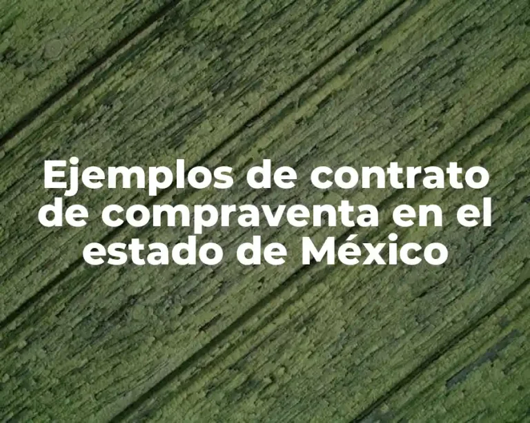 Ejemplos de contrato de compraventa en el estado de México