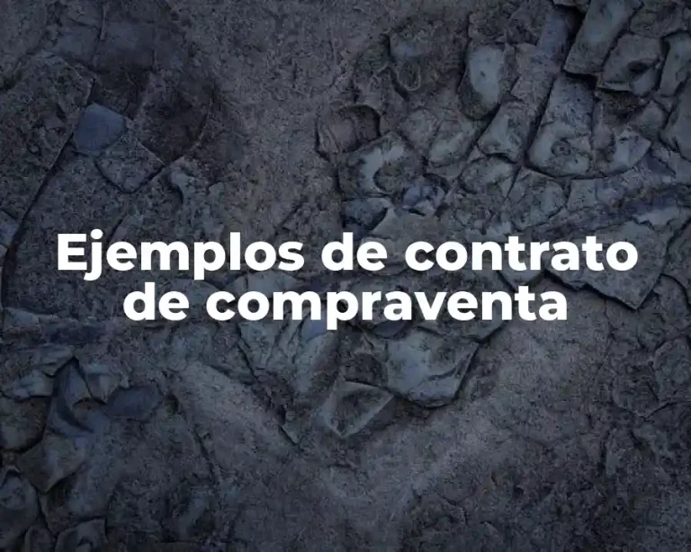 Ejemplos de contrato de compraventa