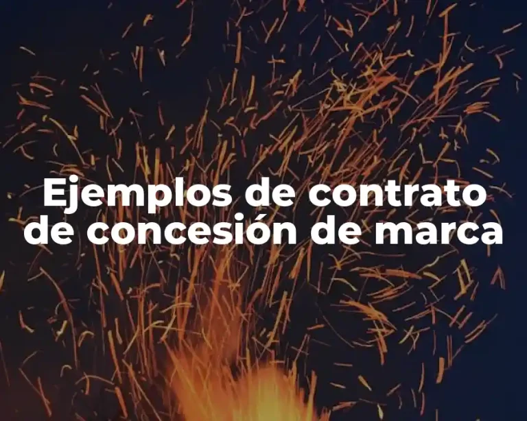 Ejemplos de contrato de concesión de marca