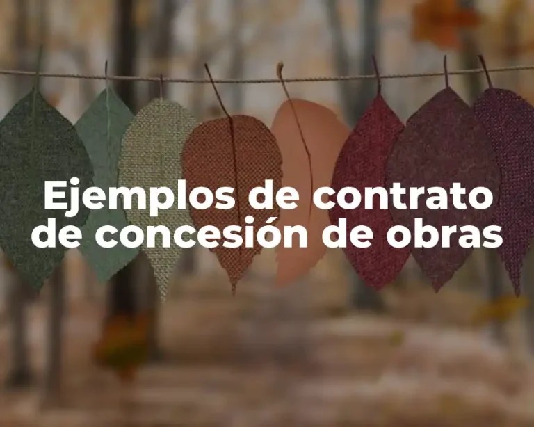 Ejemplos de contrato de concesión de obras