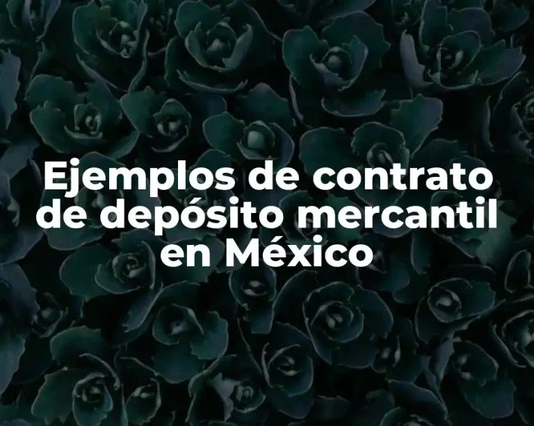 Ejemplos de contrato de depósito mercantil en México