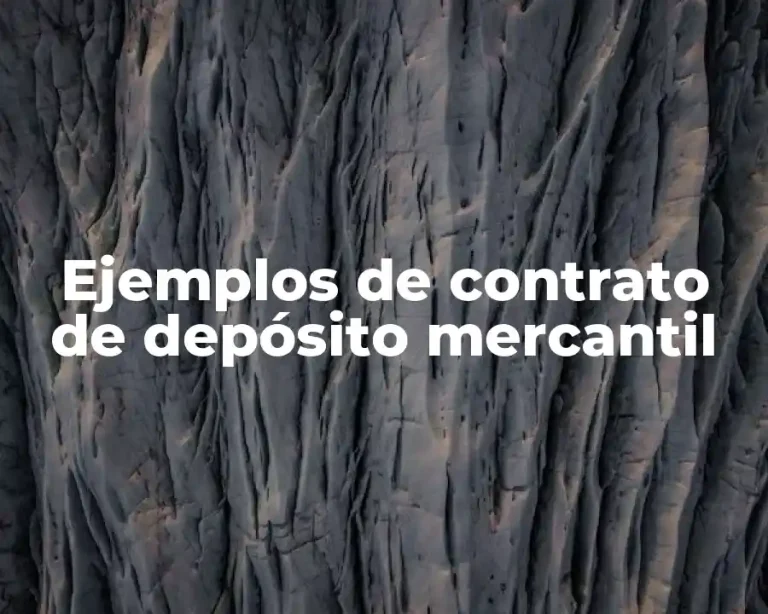 Ejemplos de contrato de depósito mercantil