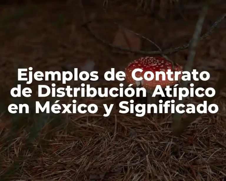 Ejemplos de Contrato de Distribución Atípico en México y Significado