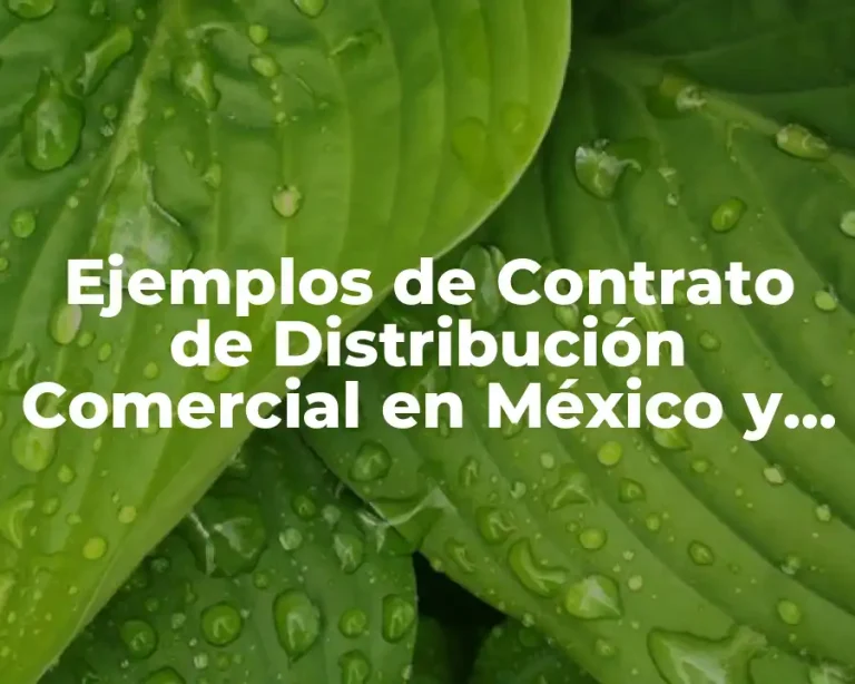 Ejemplos de Contrato de Distribución Comercial en México y Significado