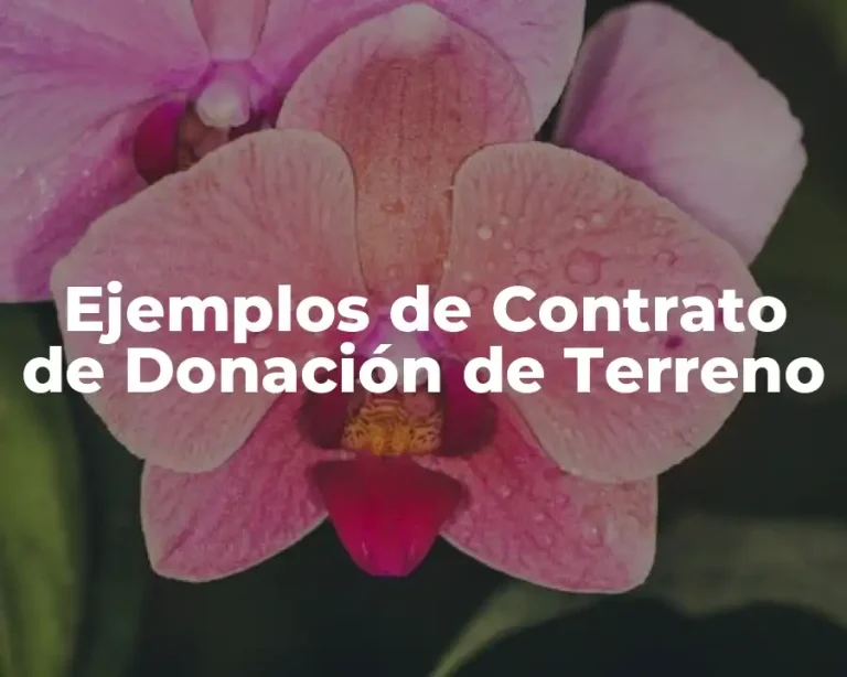 Ejemplos de Contrato de Donación de Terreno