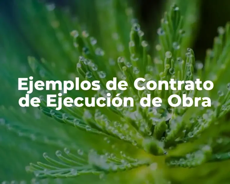Ejemplos de Contrato de Ejecución de Obra