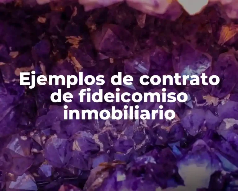Ejemplos de contrato de fideicomiso inmobiliario
